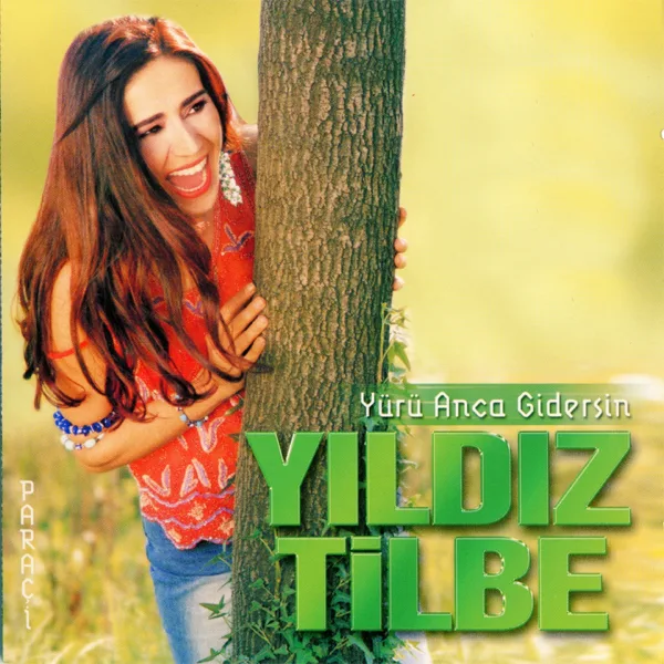 Cover art for Ama Evlisin — Yıldız Tilbe