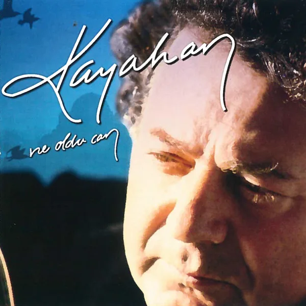 Cover art for Bir Aşk Hikayesi — Kayahan
