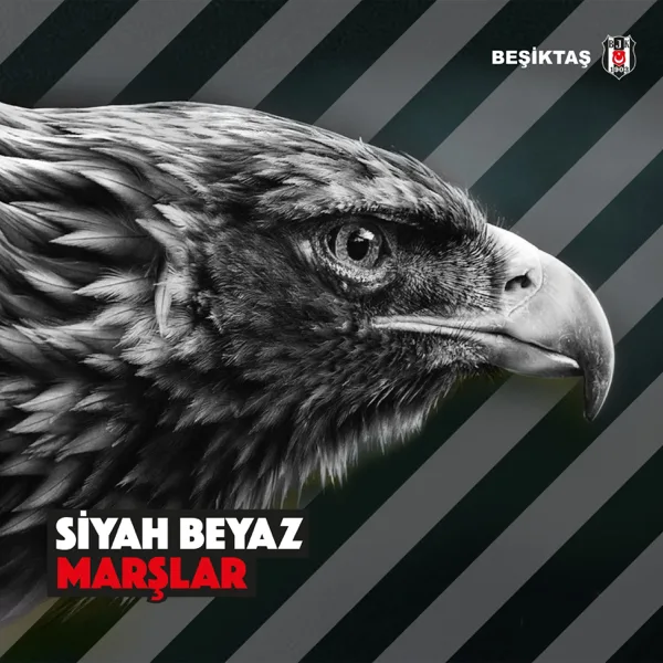 Cover art for Bir Gün Değil Her Gün Beşiktaş — Erkan Korkmaz, Birol Can & Stefo Seyisoğlu