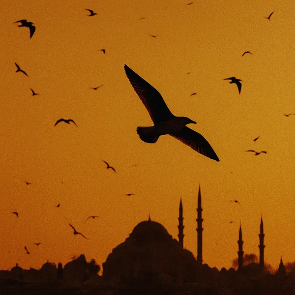 Cover art for Uçurum — MERO
