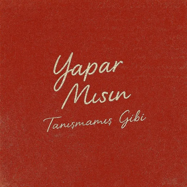 Cover art for YAPAR MISIN? — Poizi & Murat Boz